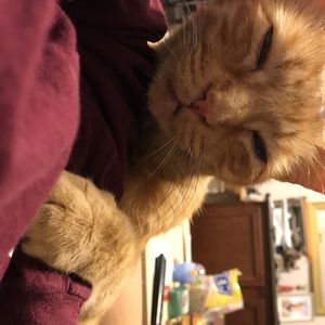 Meet your Posher, Yumi